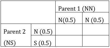 A person without the allele for sickle cell anemia has children with a person who-example-2