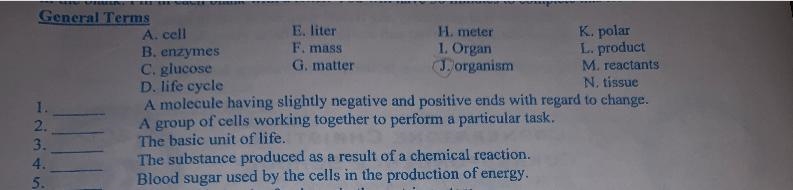 Blood sugar used by the cells in the production of energy.-example-1