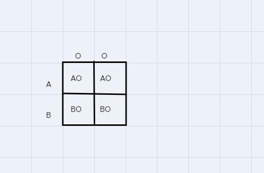 Indicate the possibilities of each genotype and phenotype in the children of a woman-example-1