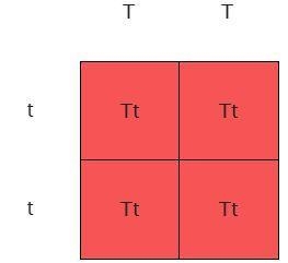 Refers to the gene for the ability to taste PTC-example-1