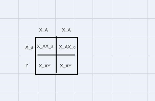 15. A pedigree chart is a visual representation of the frequency and appearance of-example-2