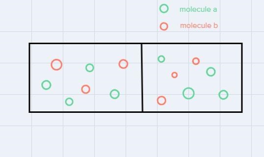 A student put together the experimental setup shown above. The selectively permeable-example-1