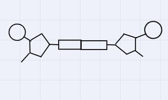 Draw the missing parts of the structure of the DNA molecule-example-1