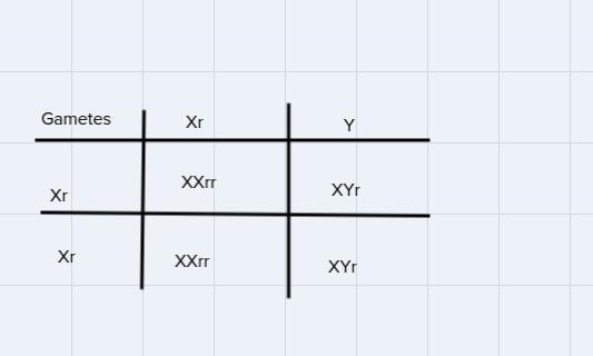 If a couple has a 50% chance of producing an XX chromosome offspring withred-green-example-1