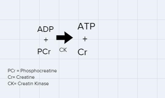 are this statement true or false?-Consider a favorable reduction-oxidation (redox-example-1