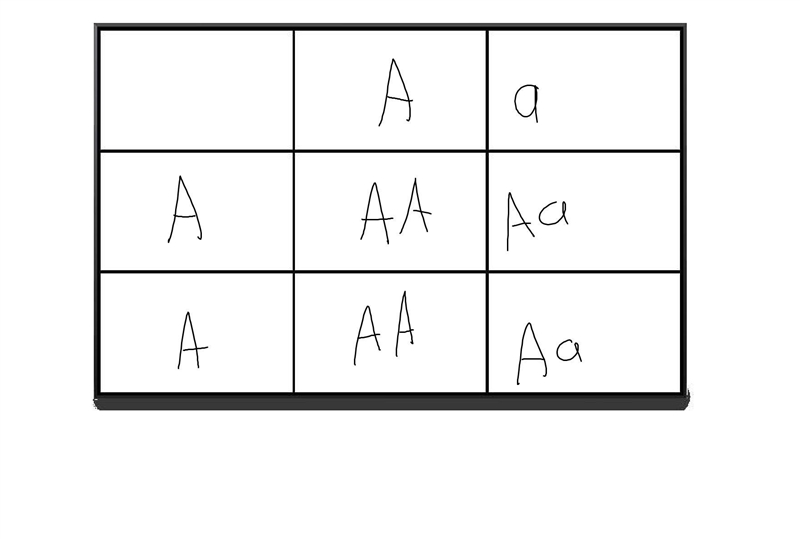 I need help, please!!! 11. A person without the allele for sickle cell anemia has-example-1