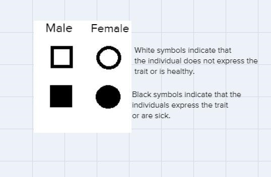 What type of Pedegree would show the parents and child and describe how you would-example-1