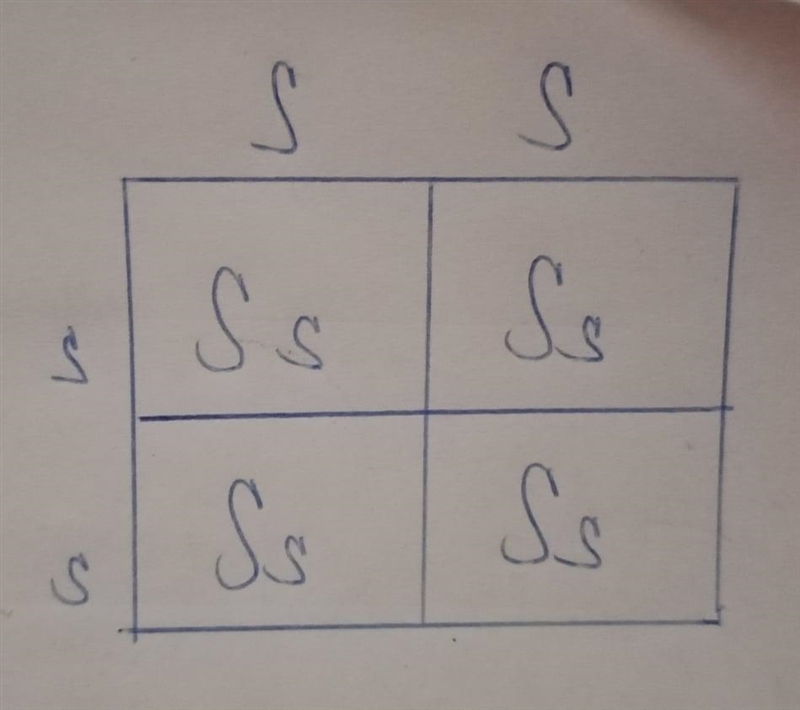 I need help making punnet squares for 1 and 2 and 3rd generation please-example-1