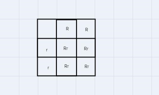 Complete a Punnett square that shows a test cross for a tall pea plant (RR x rr). Place-example-1