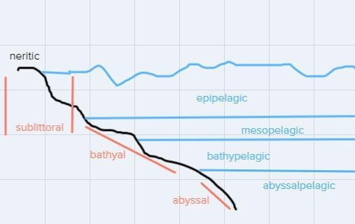 In the ocean aquatic creatures who are photosynthetic are found in the ____________ zone-example-1