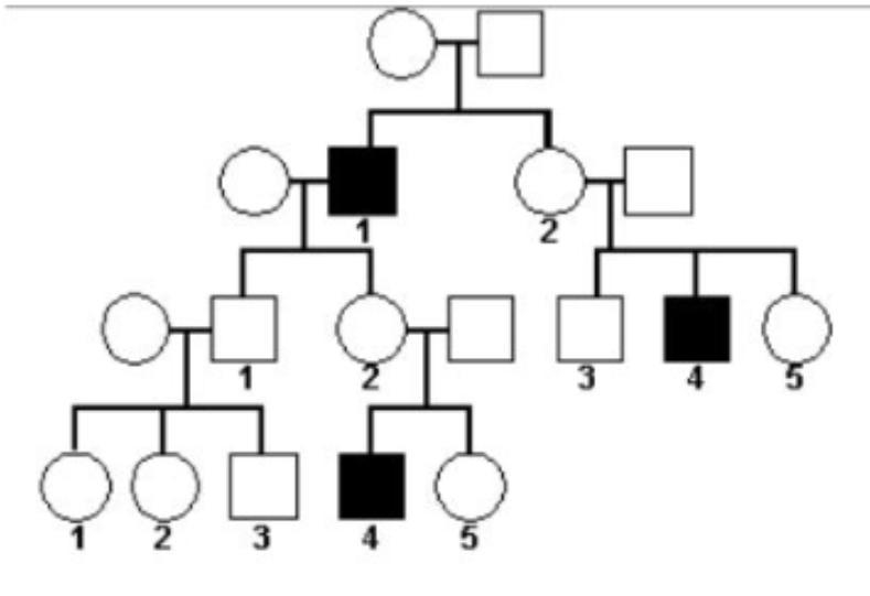 Based on the pedigree below, what describes how the trait is inherited?-example-1