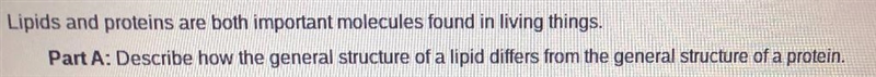 Lipids and proteins are both important molecules found in living things-example-1