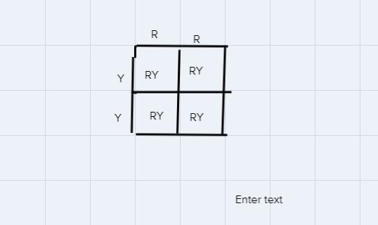 In a species of fish, red scales (RR) and yellow scales (YY) are codominant. When-example-1