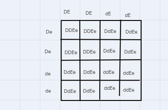 Congenital deafness in humans is due to the homozygous condition of either of the-example-1