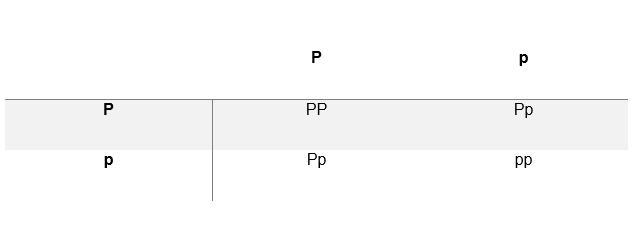 What genotypic ratio is expected in a cross between two heterozygous parents (Pp x-example-1