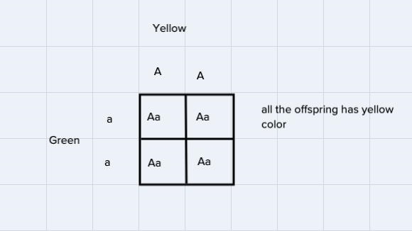 Which of the following observations led to conclude that some traits were recessive-example-1