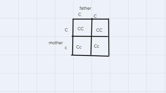 Colorblindness is due to a sex-linked recessive allele. What are the chances of a-example-1