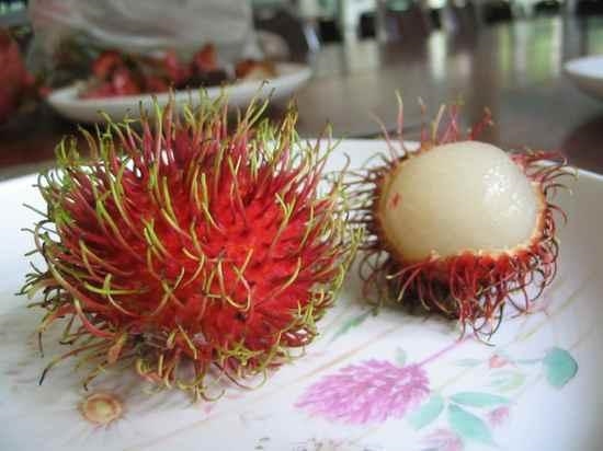 What is the rambutan?? *FRUIT*-example-1