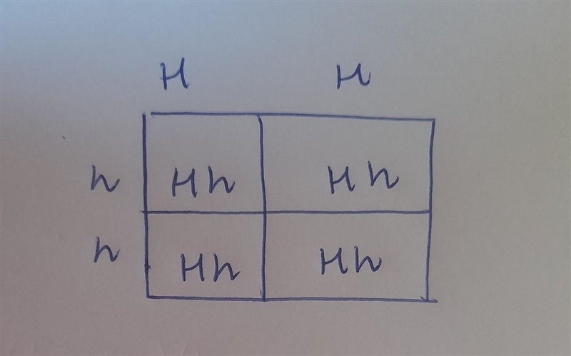 If hornless (H) in cattle is dominant over horned (h) and two homozygous cattle, one-example-1