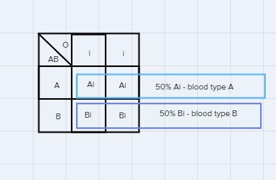 What blood types are possible in the children of parents with type AB and O blood-example-1