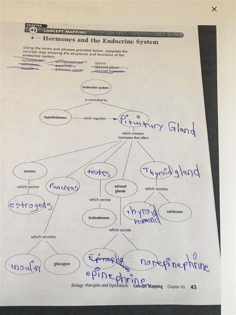 Help! Biology Concept Mapping Hormones and The Endocrine System. (Chapter 43 in Biology-example-1