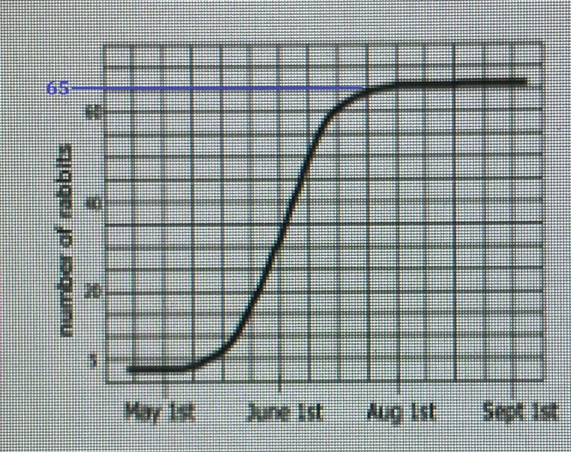 Looking at the graph, what is the total carrying capacity of the rabbits?-example-1