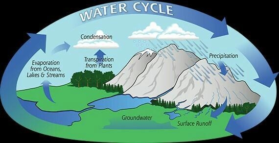 Correctly identify steps in the water cycle.-example-1