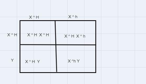 May I get help with number two and with a punnets square-example-1