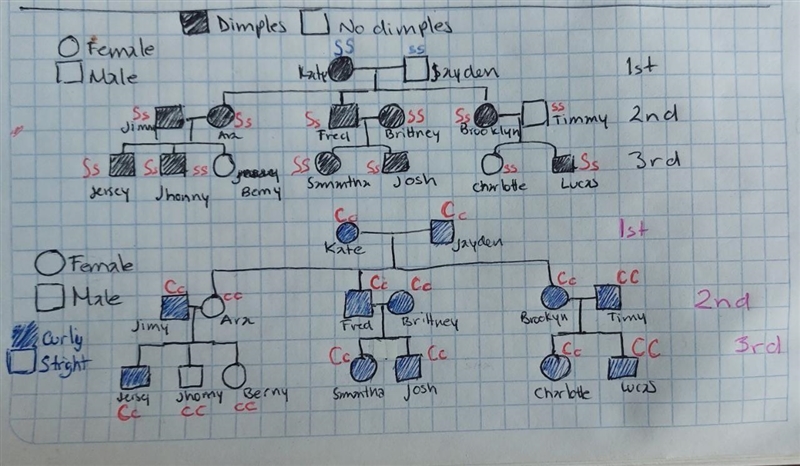 Hello I need help with a pedigree and also punnet square the trait of interest is-example-1