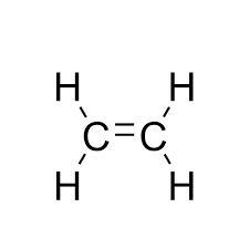 Plants have many different hormones that influence their growth, development, and-example-1