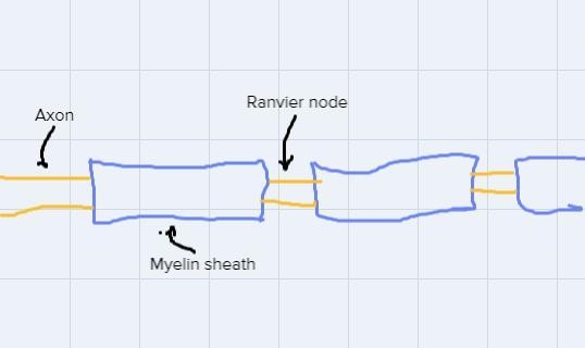 Consider stubbing your toe. You feel a sharp pain right after the hit and then a dull-example-1