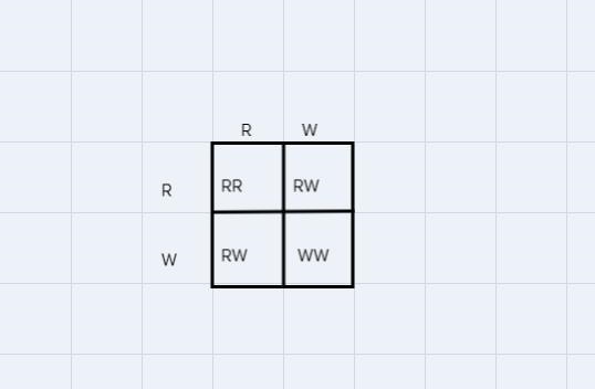 Indicate the possibilities of each genotype and phenotype resulting from the cross-example-1