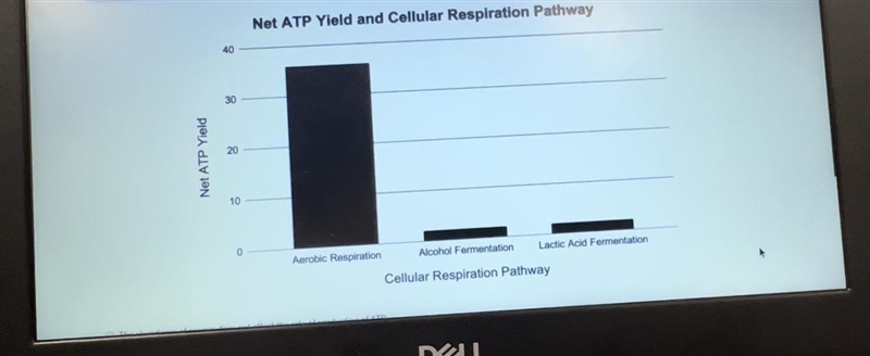 Cellular respiration releases energy in the form of ATP in order to sustain life's-example-1