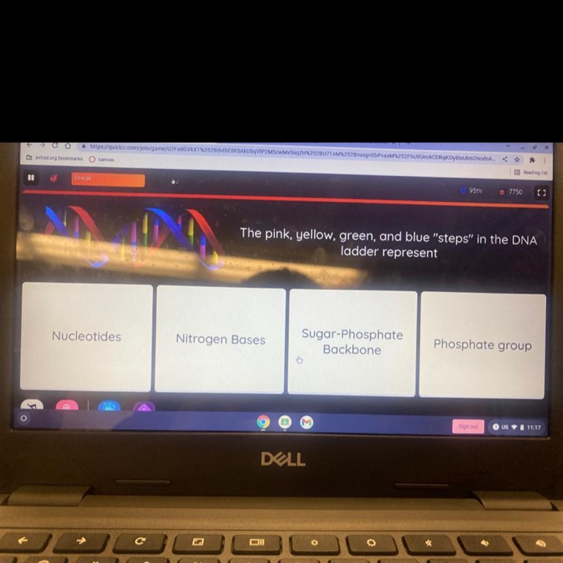 The pink, yellow, green, and blue "steps" n the DNA ladder represent:a)nucleotidesb-example-1