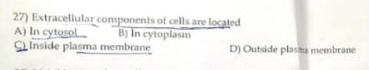 27) Extracellular components of cells are located A) In cytosol B) In cytoplasm CInside-example-1