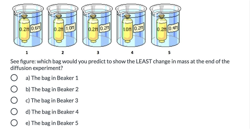 18) See figure: which bag would you predict to show the LEAST change in mass at the-example-1