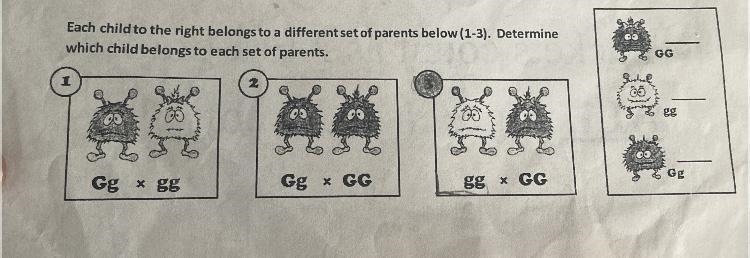 Each child to the right beling to a different set of parents bellow (1-3). Determine-example-1