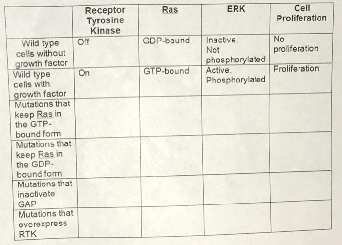 Ras Homework Wild type cells without growth factor Wild type cells with growth factor-example-1