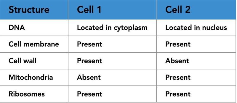 The table compares the structures and characteristics of the two cells. What conclusion-example-1