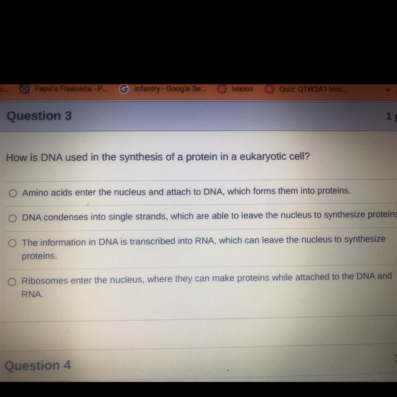 How does DNA used in the synthesis of a protein in a eukaryotic cell-example-1