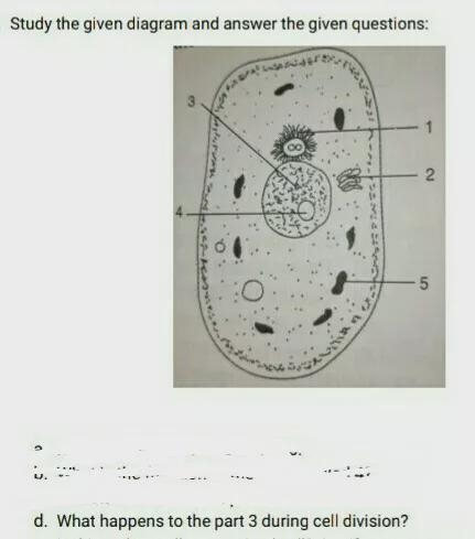 Please help me. I have only this question doubt-example-1