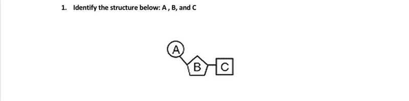 Identify the structure below: A , B, and C-example-1