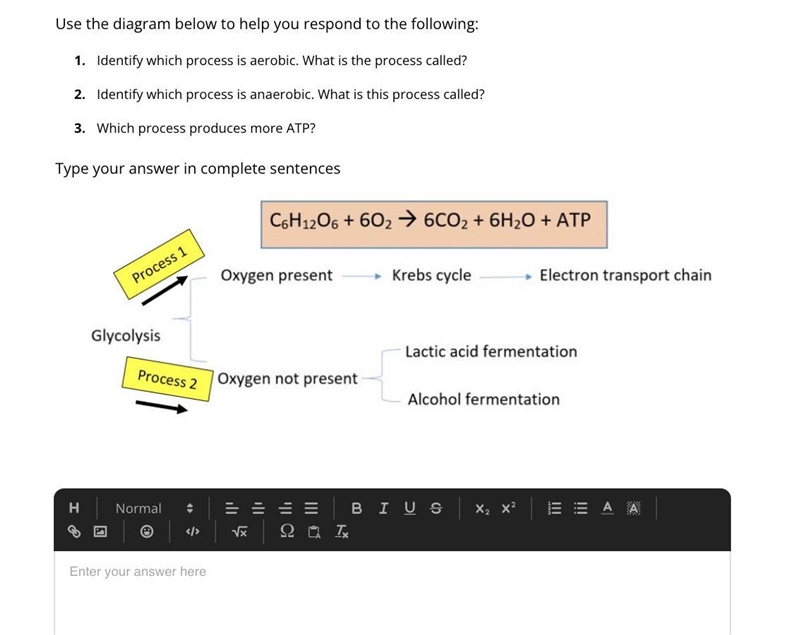 HELP!! 30 POINTS BIOLOGY HELPPPPPPPPPPPPPPPPPPPP-example-1