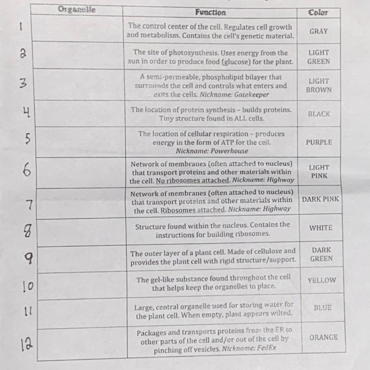 Plant cell organelle identification and function Please help-example-1