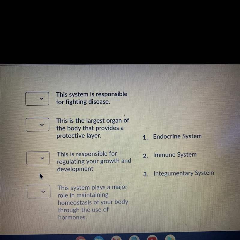 Match the correct system with the correct functions. This system is responsible for-example-1