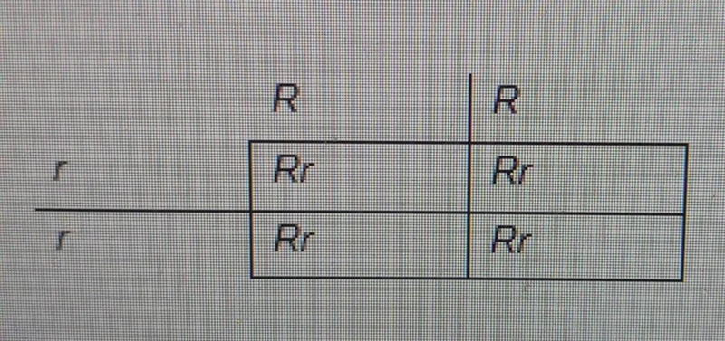 what are the genotypes of the F1 parent plants? genotype of F1 parent plant 1 genotype-example-1