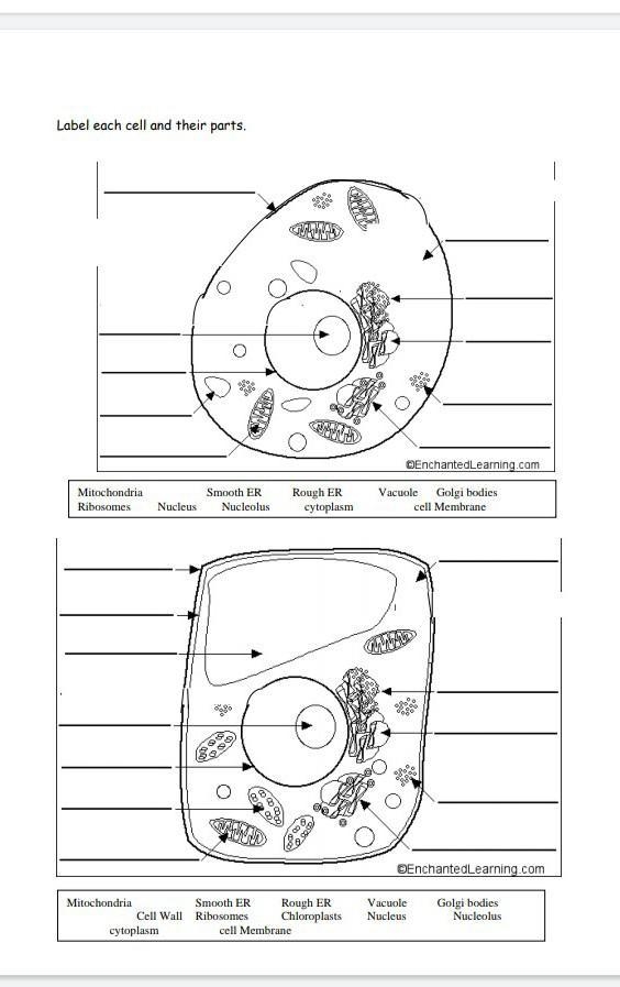 Please help with this diagram​-example-1