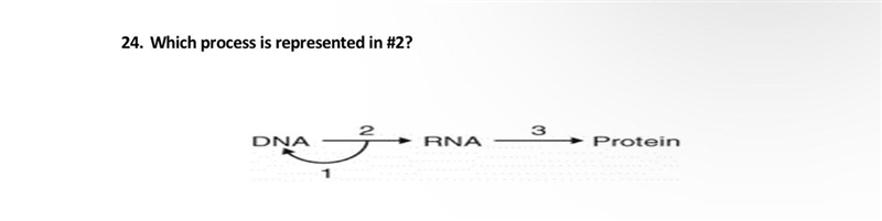 What is the process?-example-1