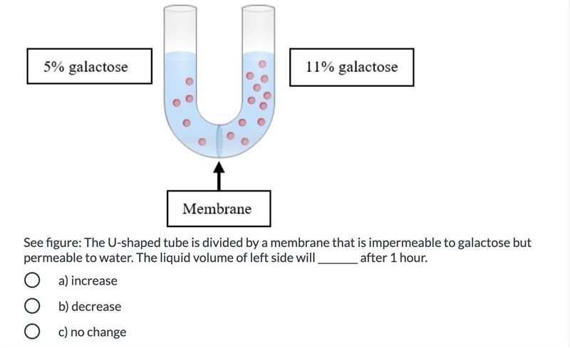 See figure: The U-shaped tube is divided by a membrane that is impermeable to galactose-example-1