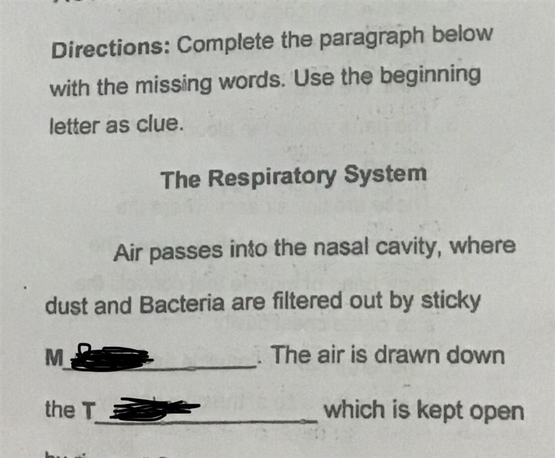 ACTIVITY 3 Directions: Complete the paragraph below with the missing words. Use the-example-1